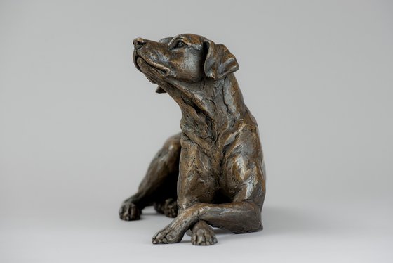 Lying Redbone Hound in Bronze Resin