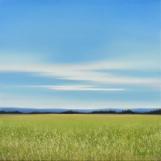 Countryside View - Blue Sky Landscape