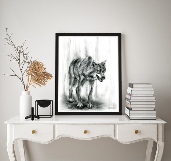 Gray Wolf - Charcoal drawing