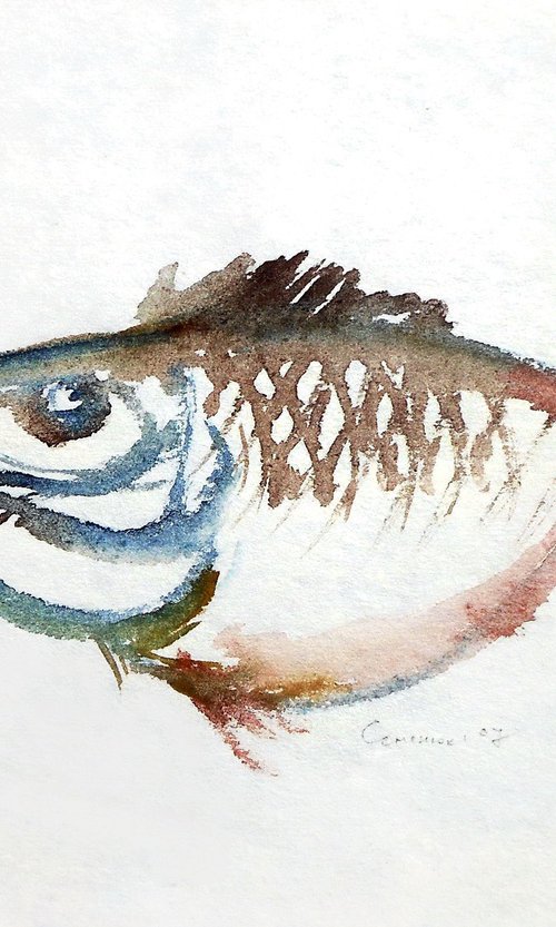 Watercolor Fish by Evgen Semenyuk