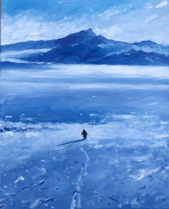 Lonely penguin, but why?