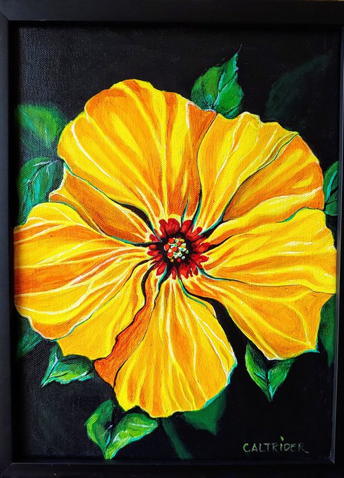 Yellow Hibiscus by Alison Caltrider