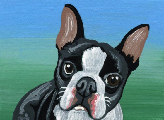 ACEO ATC Original Miniature Painting Boston Terrier Pet Dog Art-Carla Smale