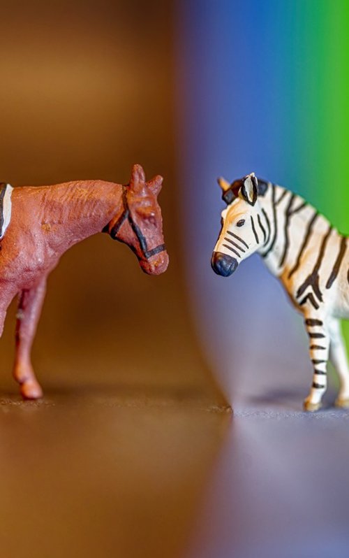 Crossing the Spectrum by Marc Ehrenbold