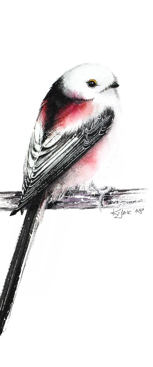Long Tiled Tit, 21x30cm, birds, wildlife and animals watercolours by Karolina Kijak