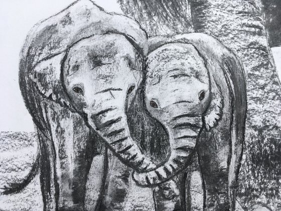 Elephant babies