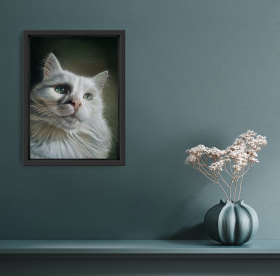 Elegance - White cat portrait