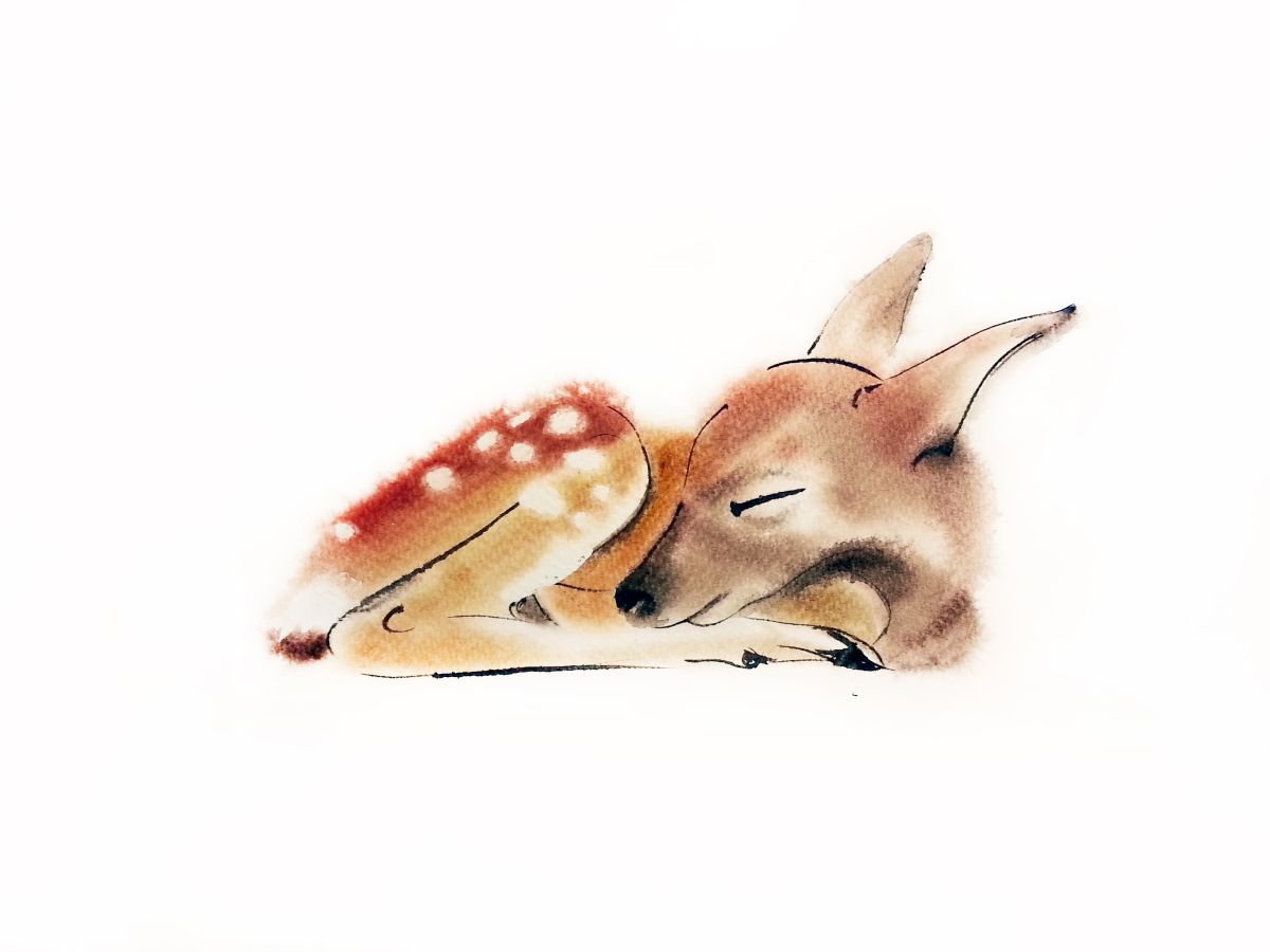 Sleeping Baby Deer by Olga Beliaeva Watercolour