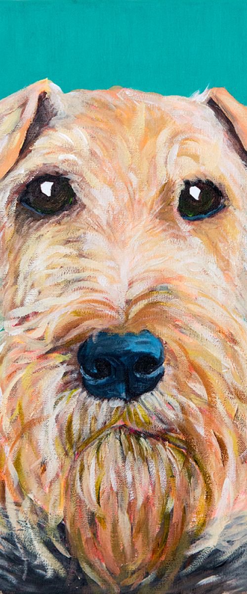 Airedale 2 by Amy Devlin