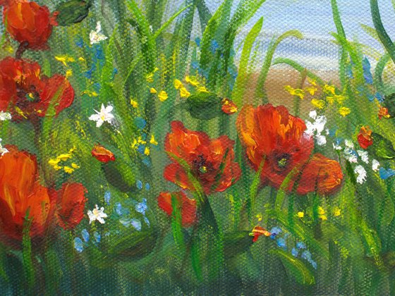 Poppies by the sae