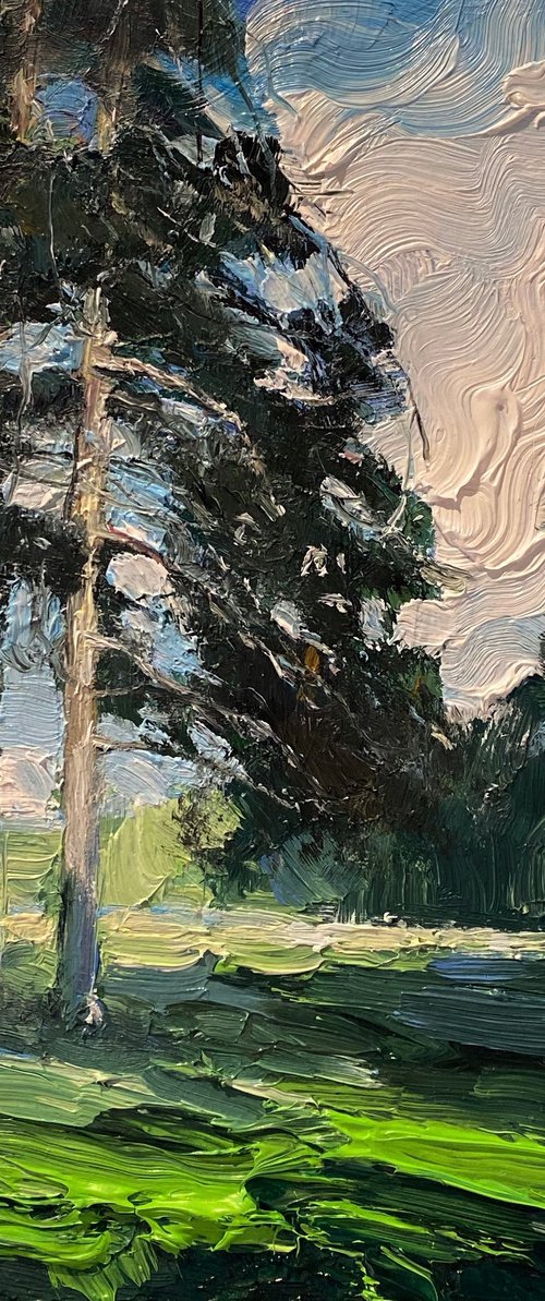 Pines by Artem Grunyka