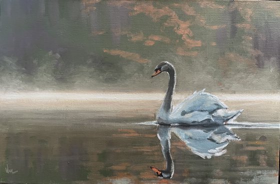 Swan 2