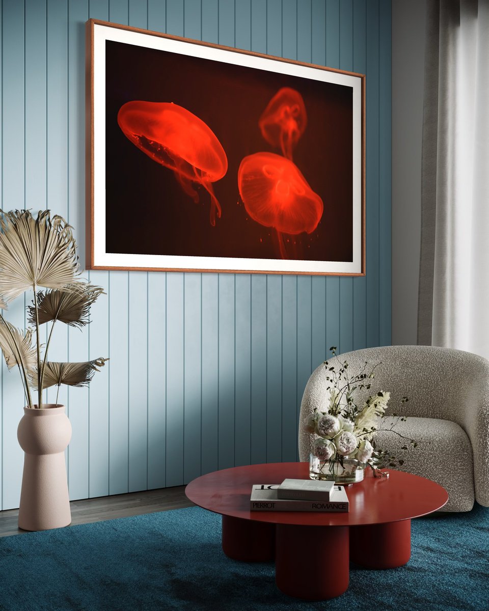 Animal Photograph By Tal Paz-Fridman, 62 X 42", At The Aquarium #4, Original Artwork