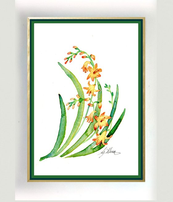 Crocosmia motif