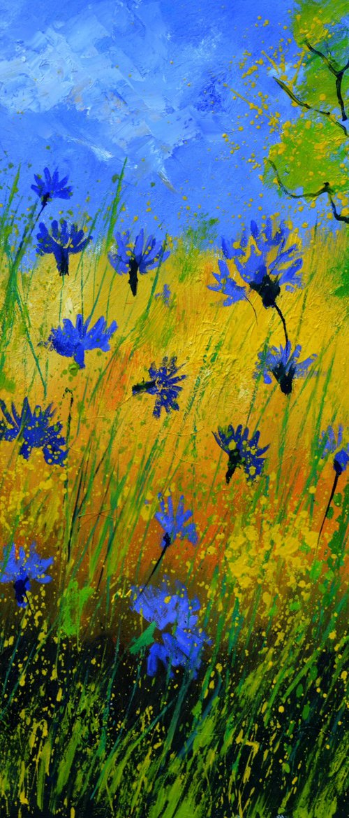 Blue cornflowers - 77 by Pol Henry Ledent