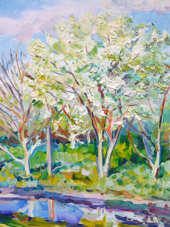 plein air 28_04_2018 (blooming)