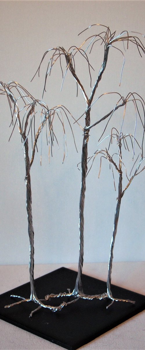 Silver tree, 3 willows by Steph Morgan