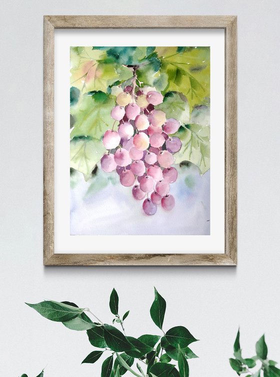 Grapes, watercolor illustration