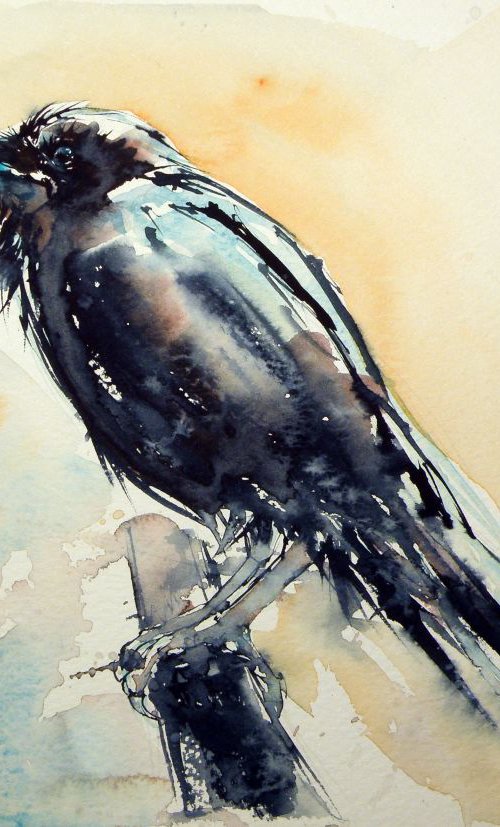 Crow by Kovács Anna Brigitta