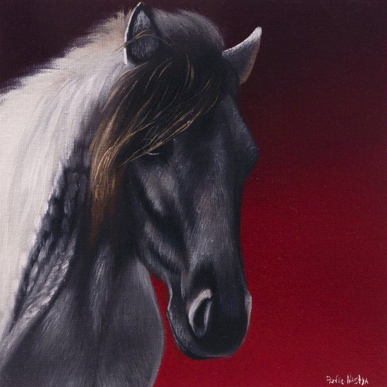 Horse Portrait 75
