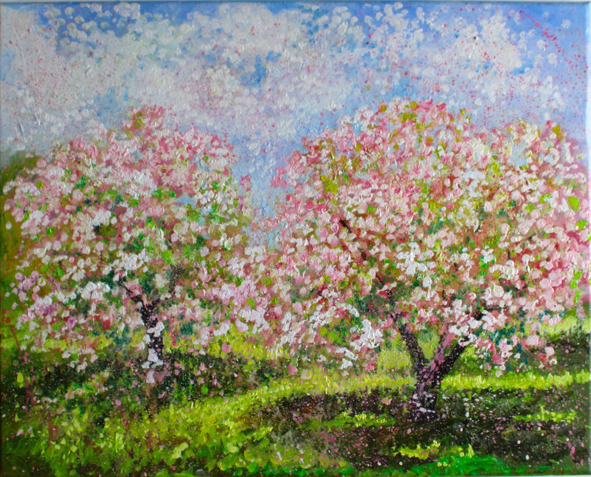 Apple Blossom by Rod Bere