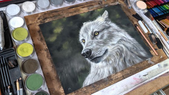WOLF  (Original Painting)