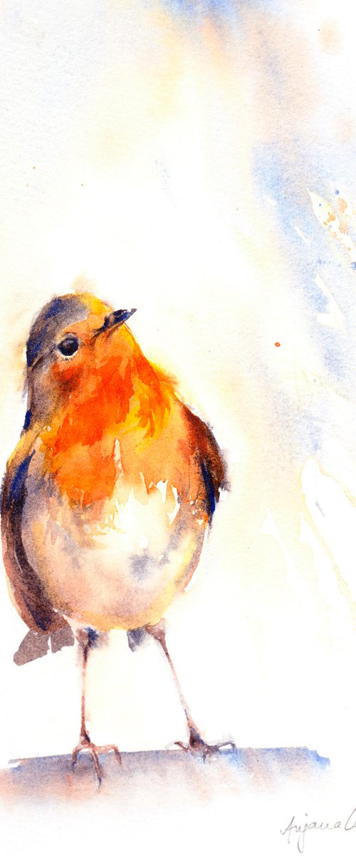 Robin by Anjana Cawdell