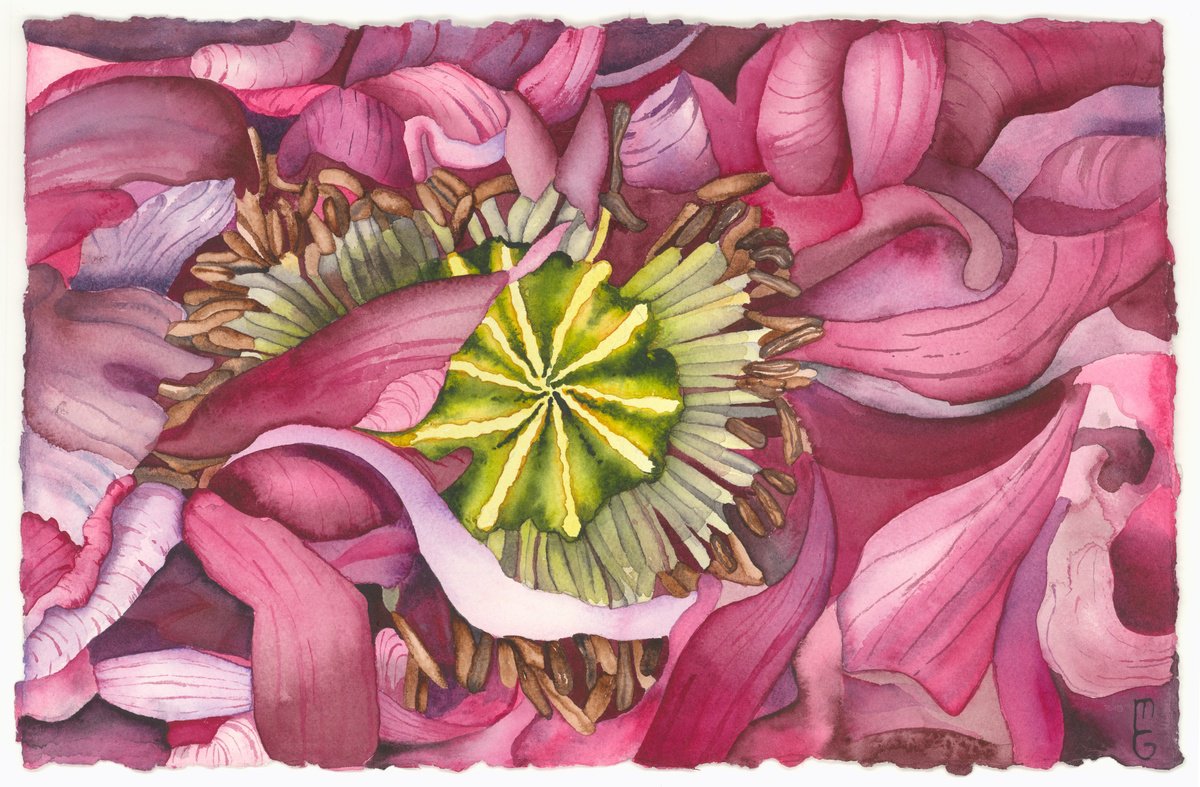 Surrealistic Botanical Watercolour By Mary Lyn Gough, 18 X 14", Queens Gift, Original Artwork