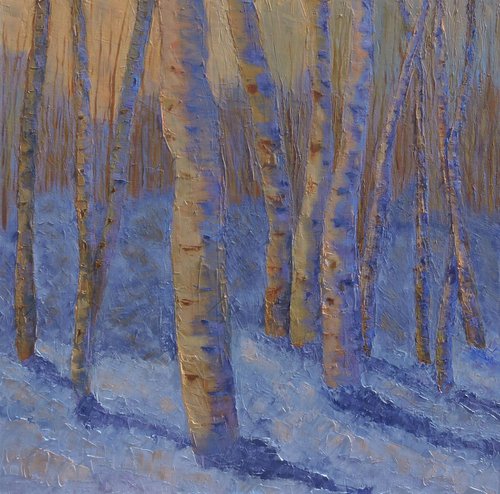 Aspen Trees in the Snow by Linda Mooney