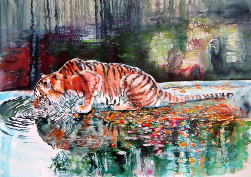 Drinking tiger by Kovács Anna Brigitta