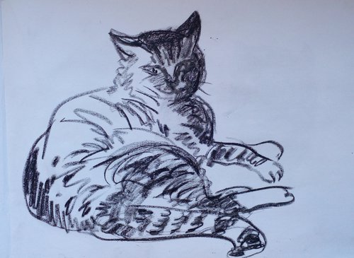 Happy Cat Sketch 1 by Oxana Raduga
