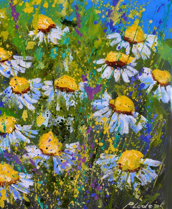 Daisies