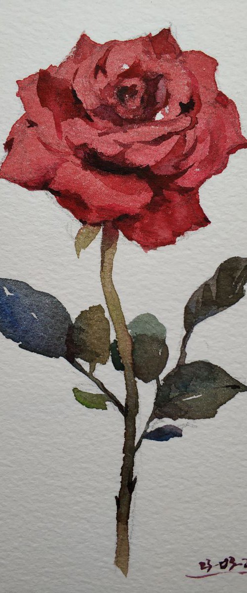 Rose 4 by Jing Chen