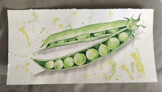 Green peas. Watercolor painting.