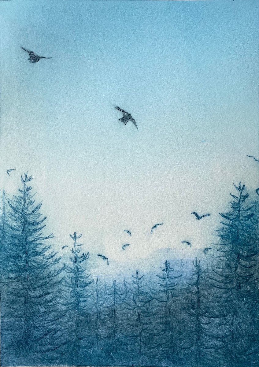 Forest Flight by Rebecca Denton