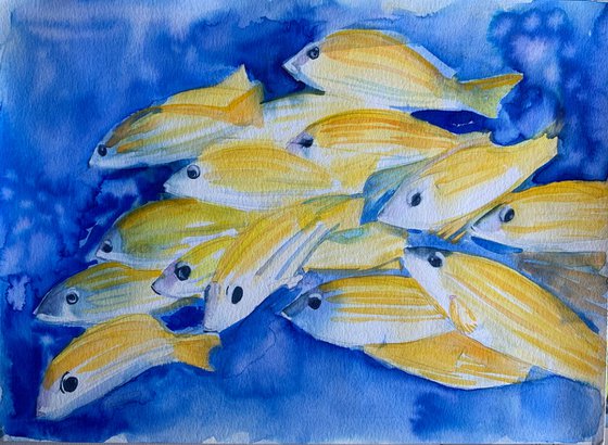 Yellow Fish