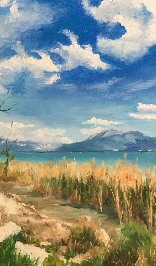 Lake Garda in Spring by Ling Strube