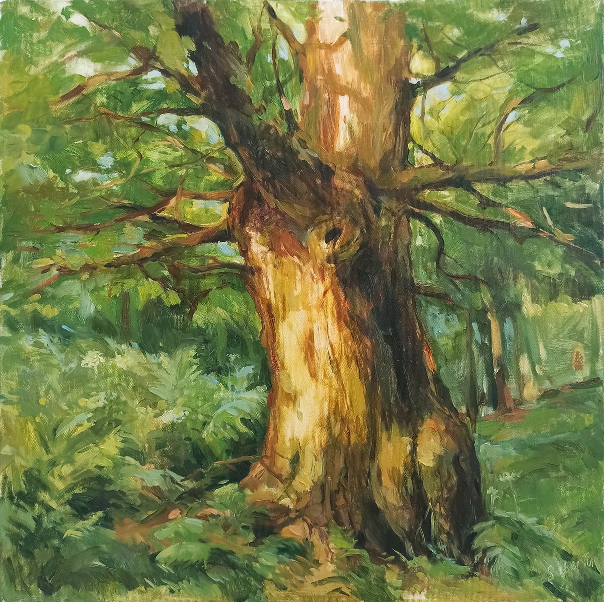 The Biggest Oak by Elena Utkina
