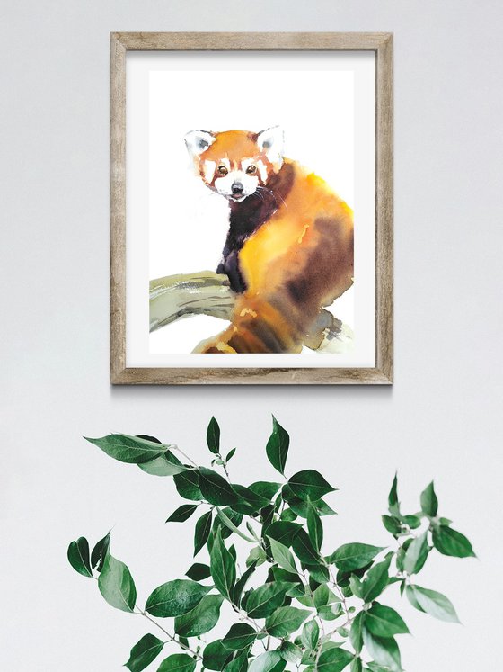 Red panda bear artwork, watercolor illustration