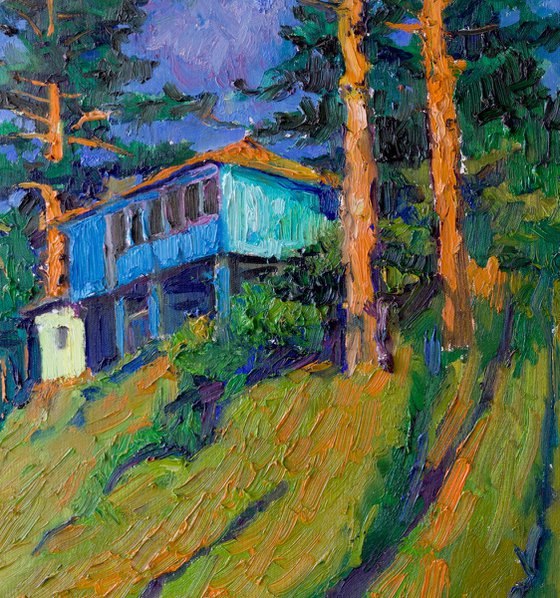 Pine Forest, After the Rain