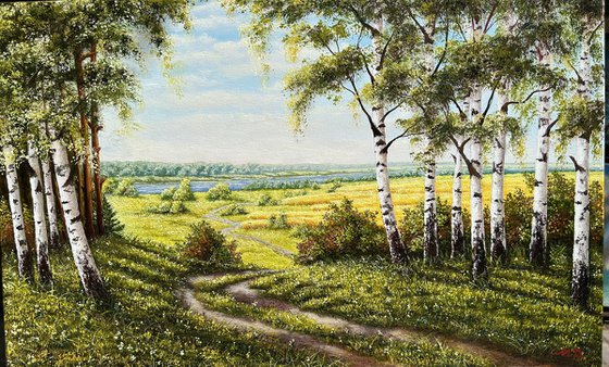 Native spaces
