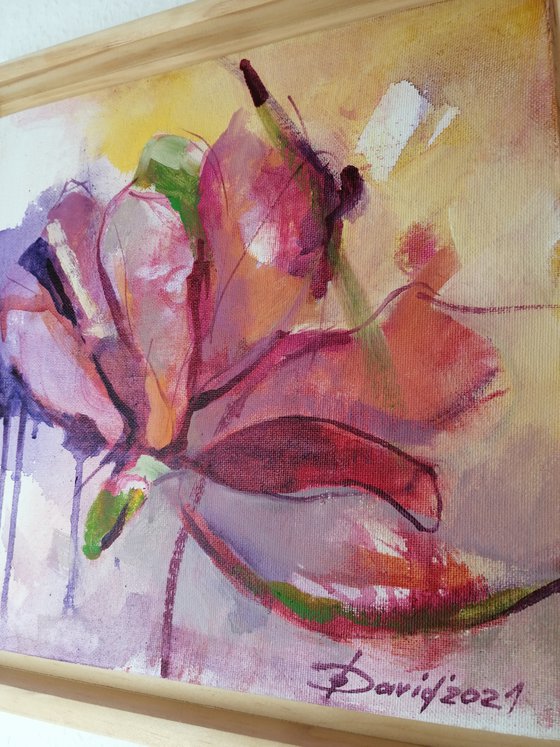 Magnolia flower