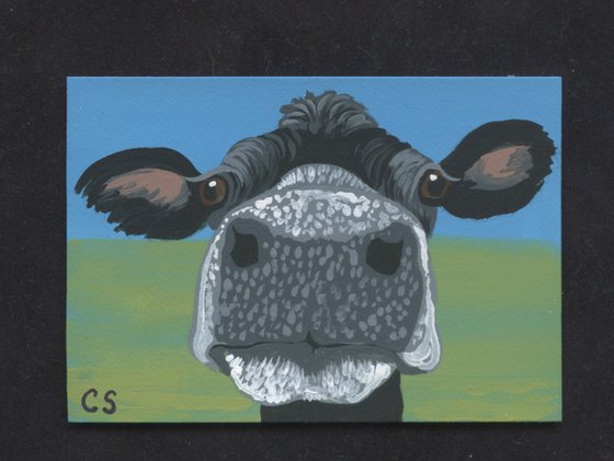 ACEO ATC Original Miniature Painting Black Cow Farmyard Art-Carla Smale