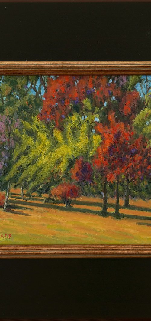 Brilliant Autumn Colored Trees by Daniel Fishback