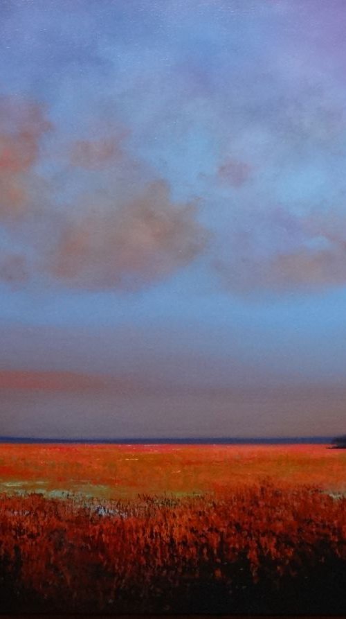 Disquieting Calm by Faith Patterson