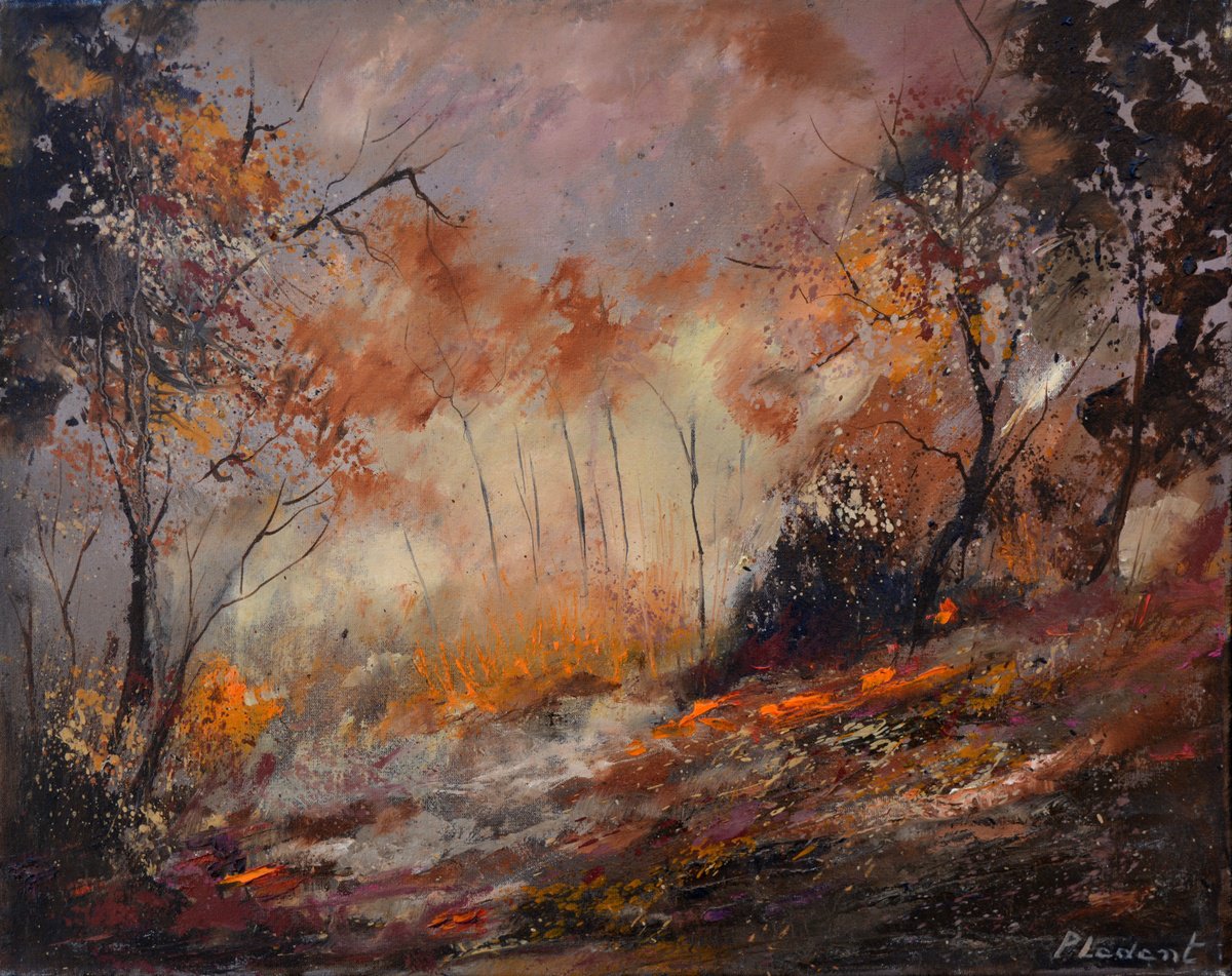 Autumn in the wood - 5422 by Pol Henry Ledent