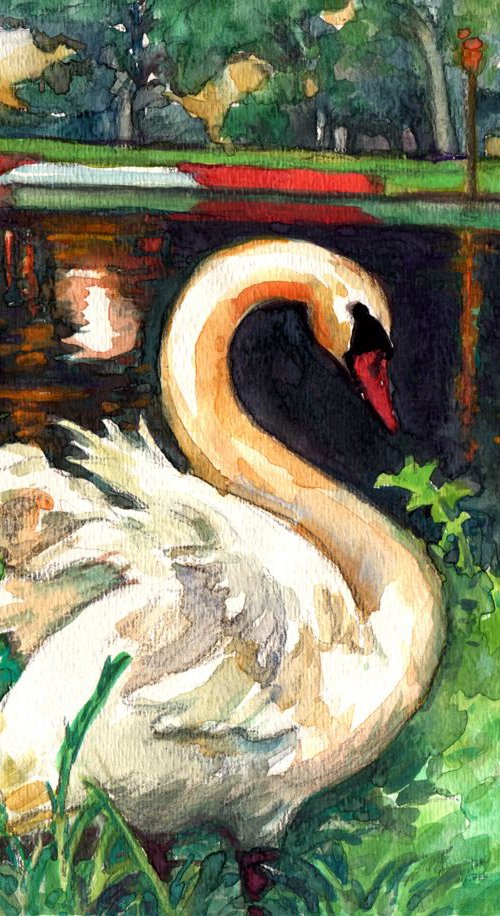 Swan by QI Debrah
