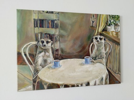 Meerkats At Home