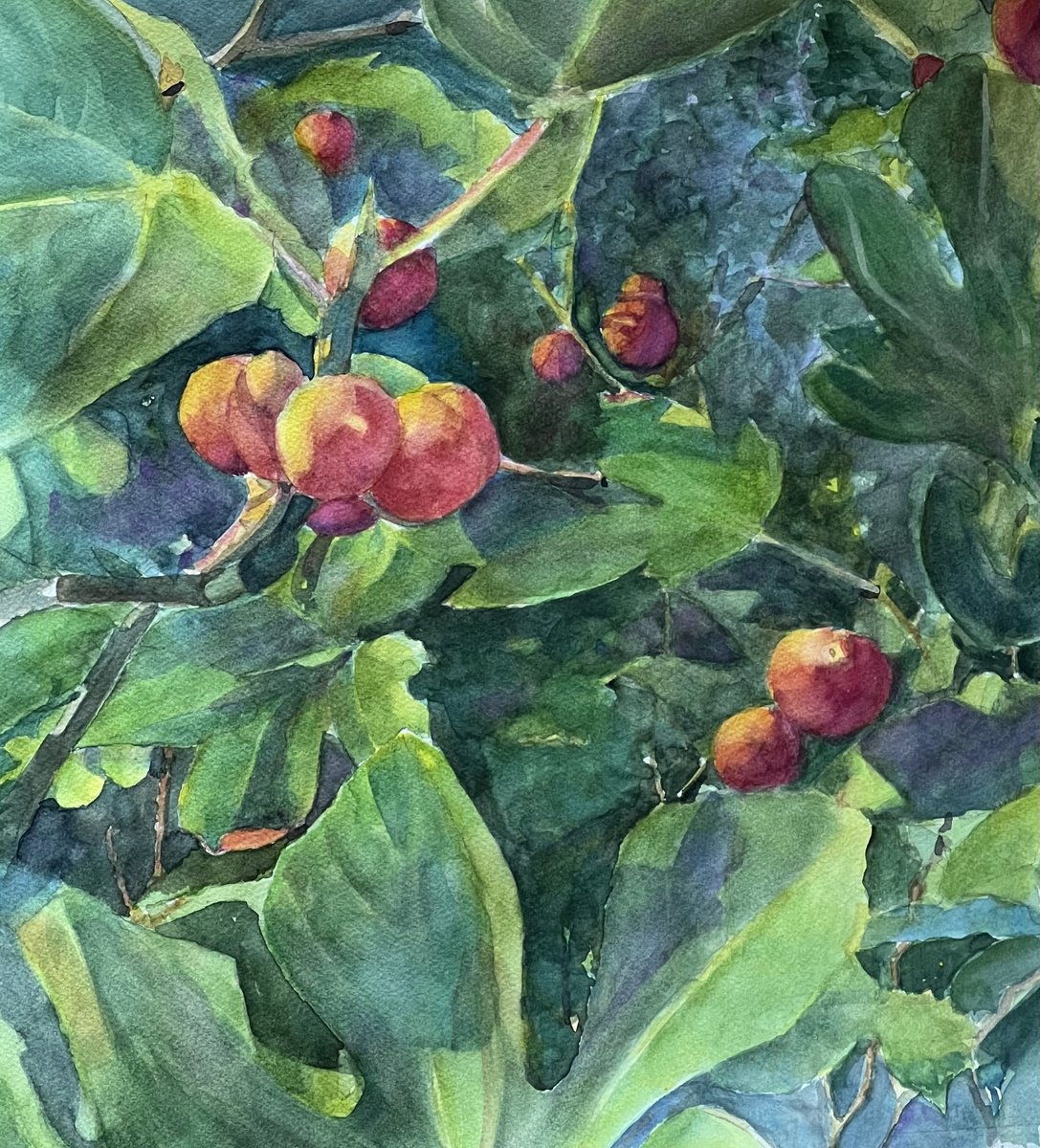 Impressionistic Botanical Watercolour By Bronwen Jones, 15 X 16, Sea Grapes, Original Artwork