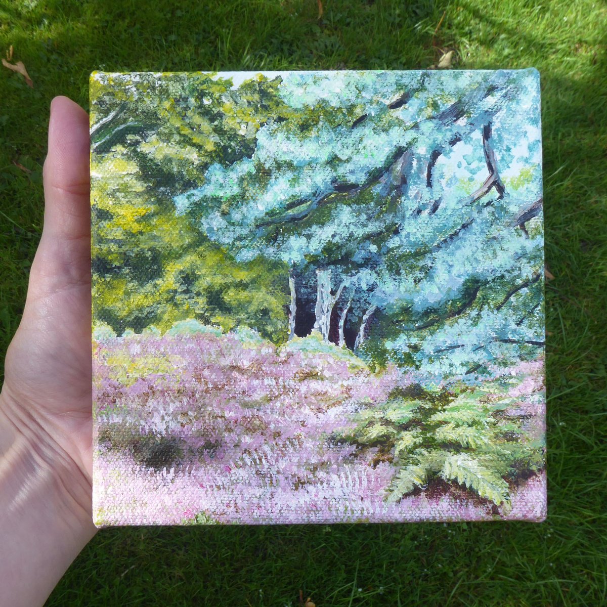 Impressionistic Landscape Acrylic Painting By Jacqueline Talbot, 6 X 6, Bolderwood, The New Forest, Original Artwork